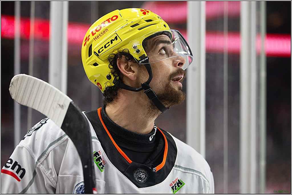 PENNY DEL; Koelner Haie-Loewen Frankfurt; Koeln, 16.02.2024