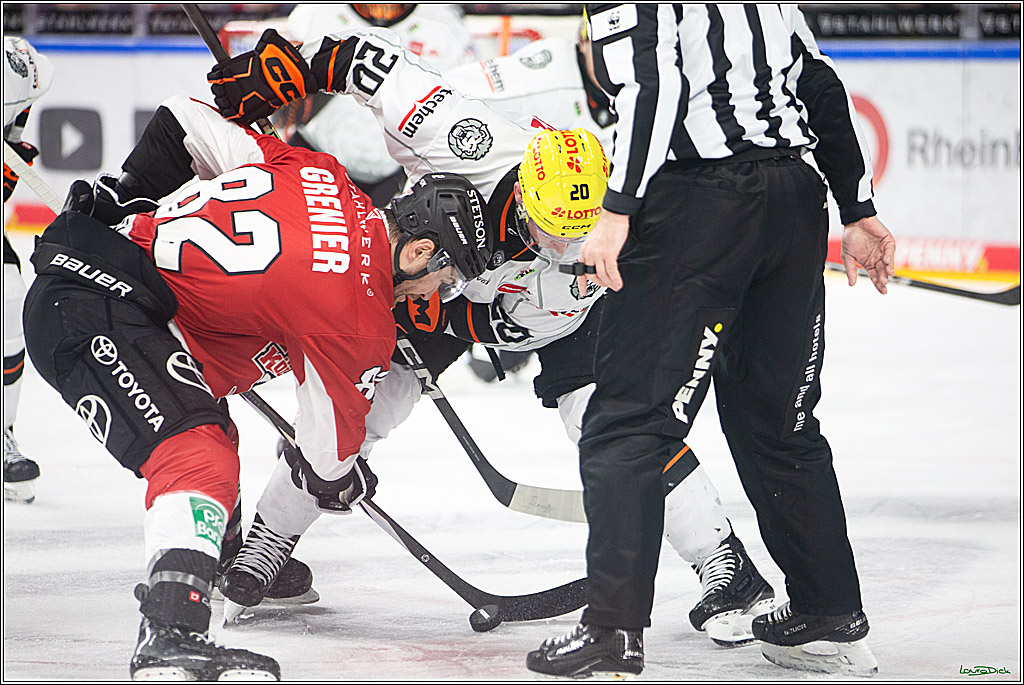 PENNY DEL; Koelner Haie-Loewen Frankfurt; Koeln, 16.02.2024