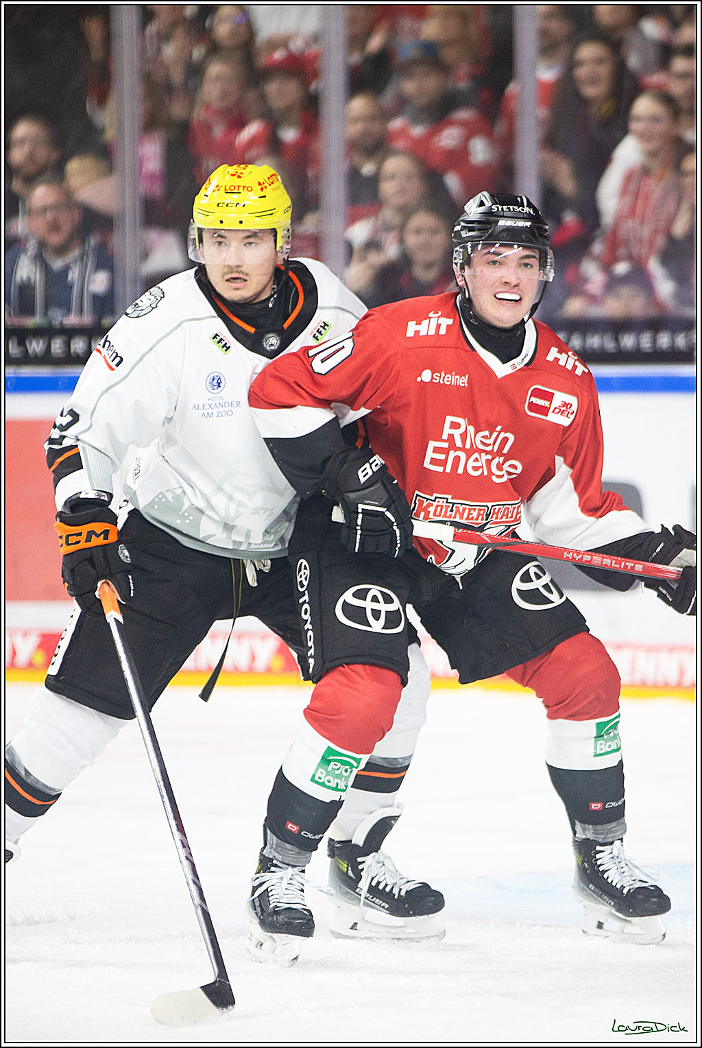 PENNY DEL; Koelner Haie-Loewen Frankfurt; Koeln, 16.02.2024
