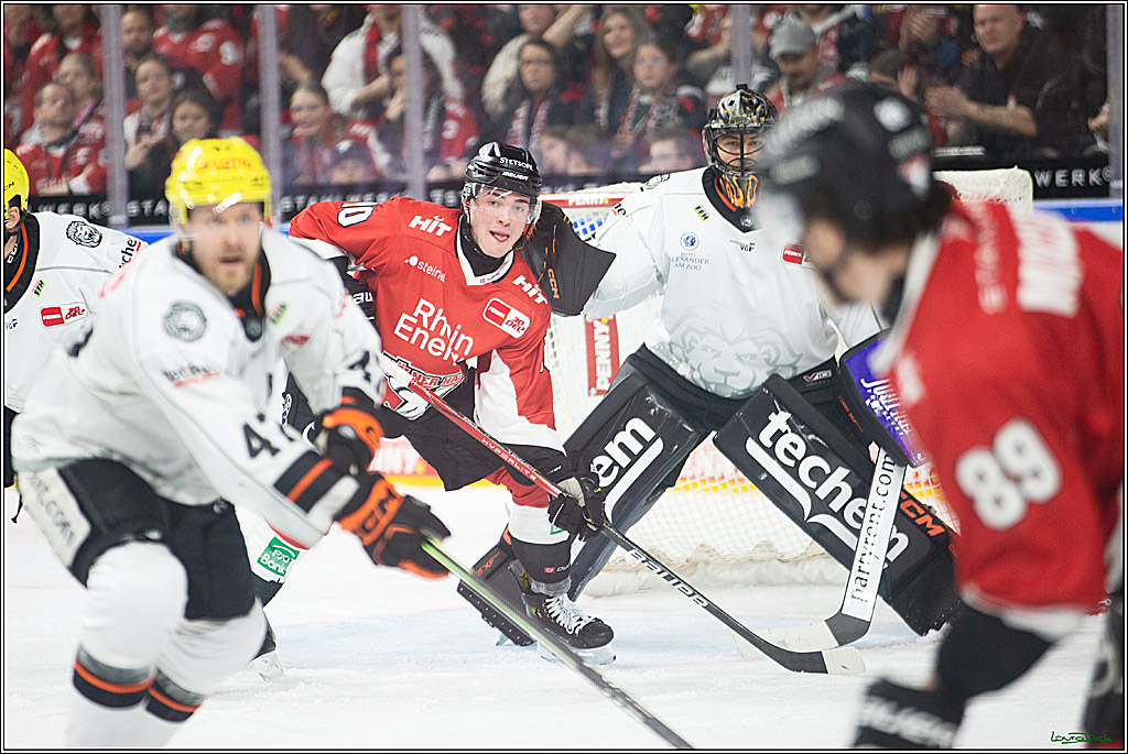 PENNY DEL; Koelner Haie-Loewen Frankfurt; Koeln, 16.02.2024
