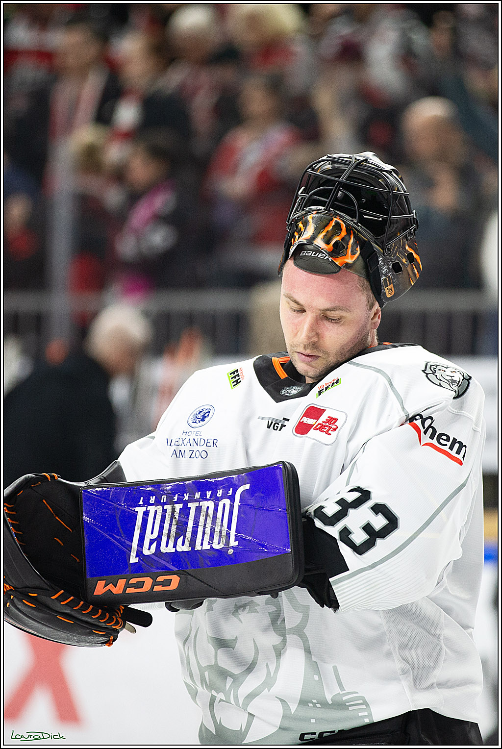 PENNY DEL; Koelner Haie-Loewen Frankfurt; Koeln, 16.02.2024