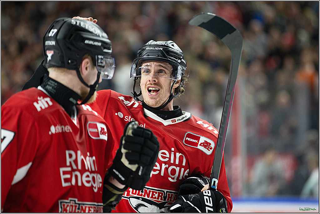 PENNY DEL; Koelner Haie-Loewen Frankfurt; Koeln, 16.02.2024