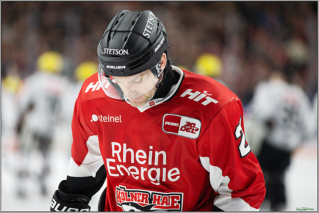 PENNY DEL; Koelner Haie-Loewen Frankfurt; Koeln, 16.02.2024