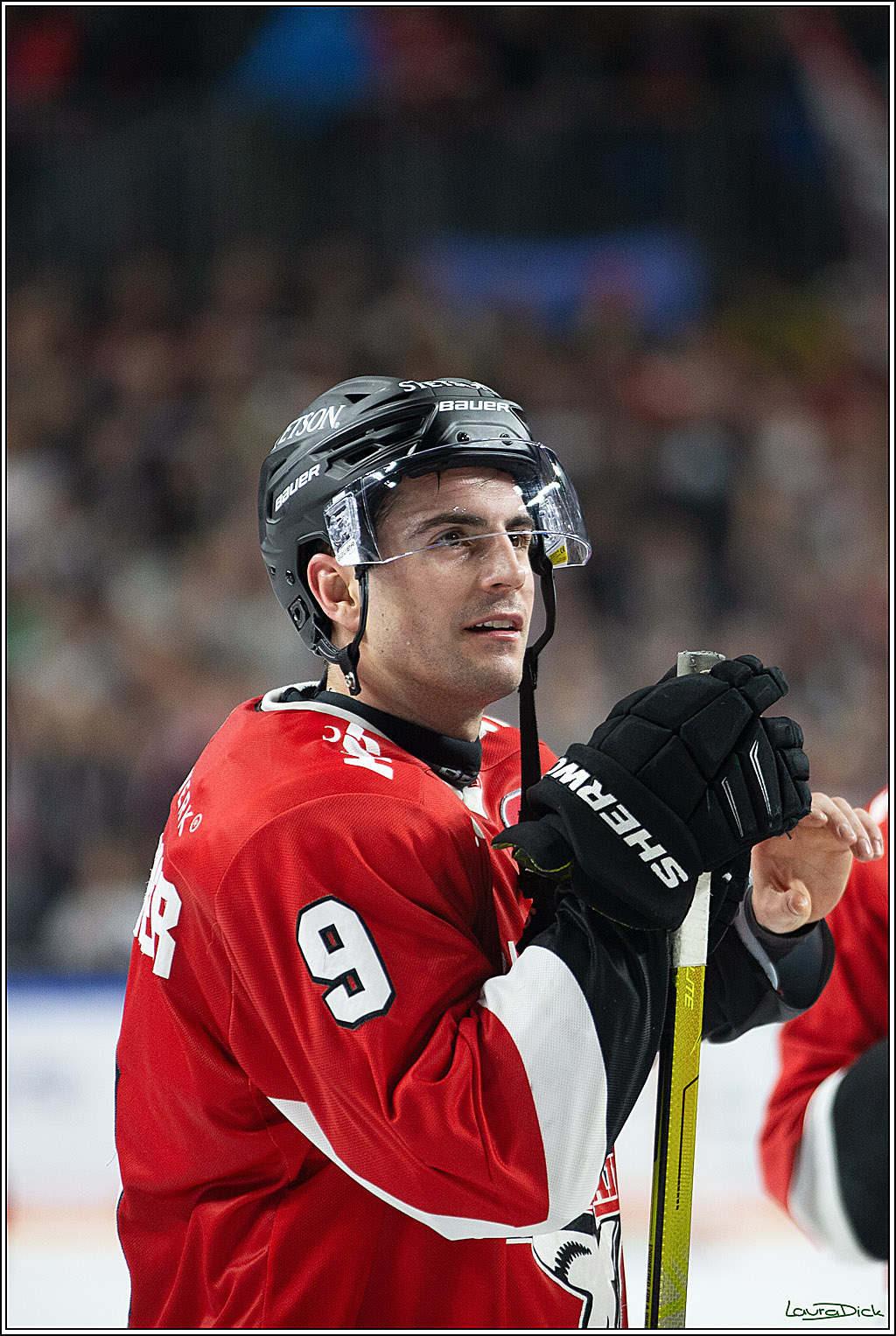 PENNY DEL; Koelner Haie-Loewen Frankfurt; Koeln, 16.02.2024