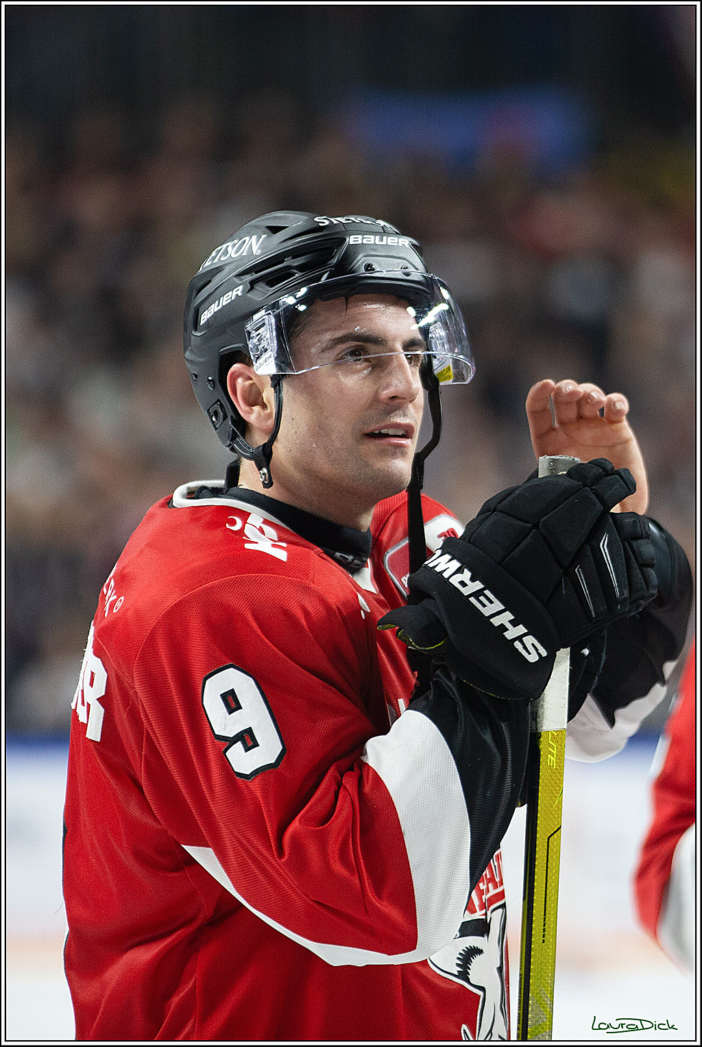 PENNY DEL; Koelner Haie-Loewen Frankfurt; Koeln, 16.02.2024