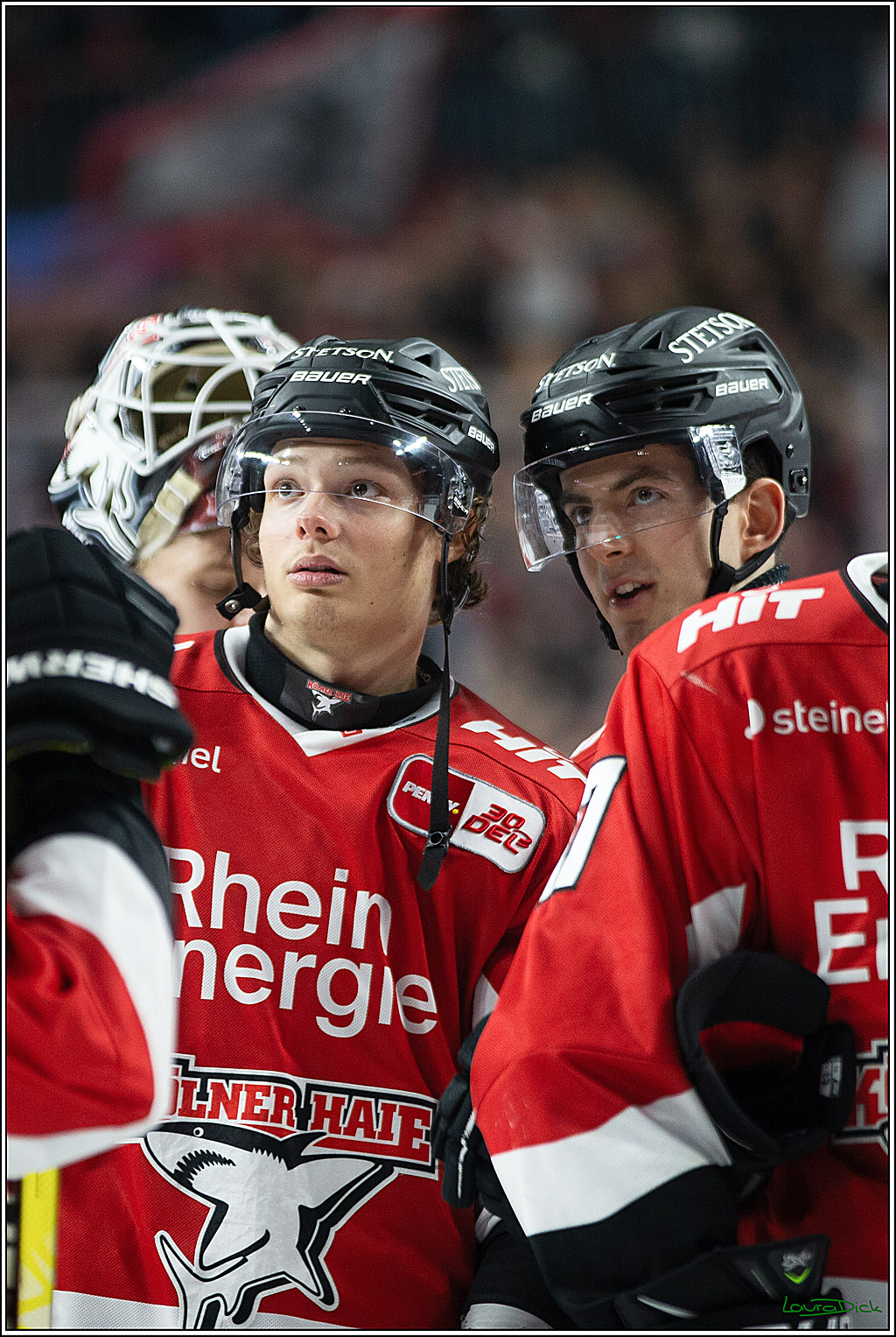PENNY DEL; Koelner Haie-Loewen Frankfurt; Koeln, 16.02.2024