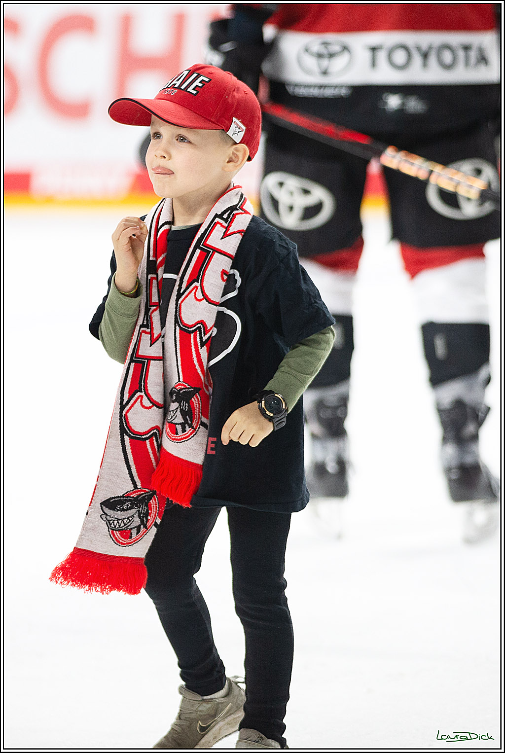 PENNY DEL; Koelner Haie-Loewen Frankfurt; Koeln, 16.02.2024