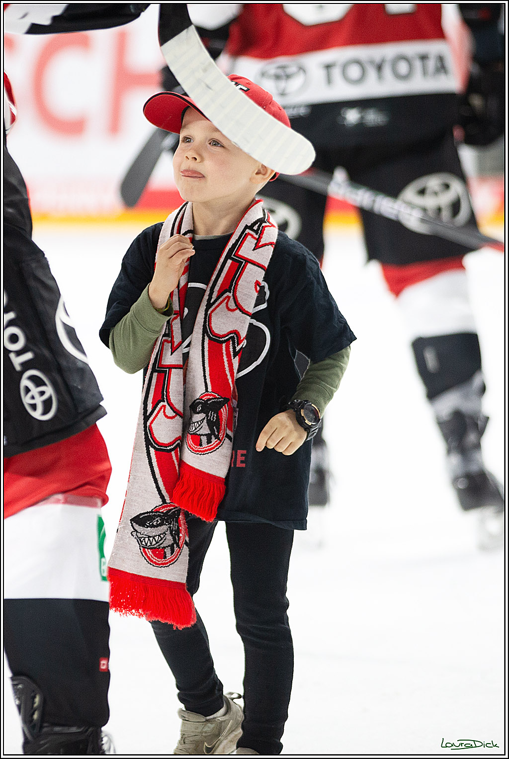 PENNY DEL; Koelner Haie-Loewen Frankfurt; Koeln, 16.02.2024