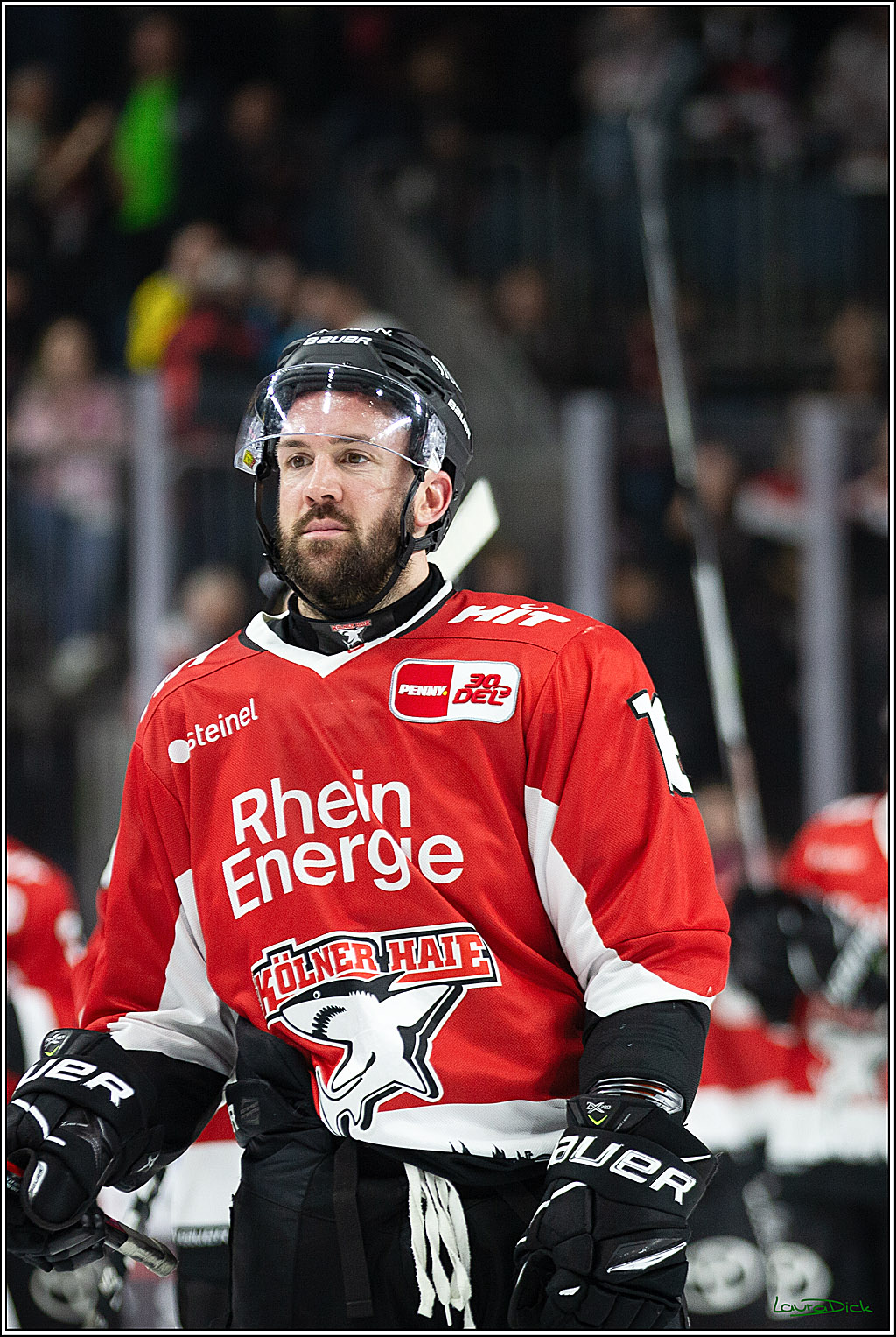 PENNY DEL; Koelner Haie-Loewen Frankfurt; Koeln, 16.02.2024