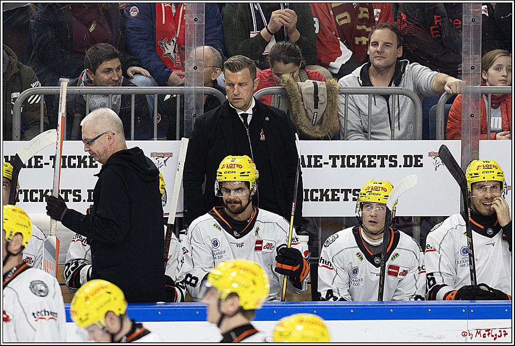 PENNY DEL 1; Kölner Haie - Löwen Frankfurt; Köln, 16.02.2024