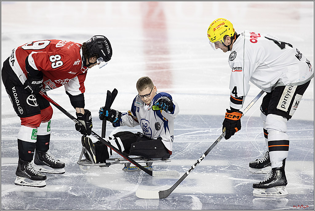 PENNY DEL 1; Kölner Haie - Löwen Frankfurt; Köln, 16.02.2024