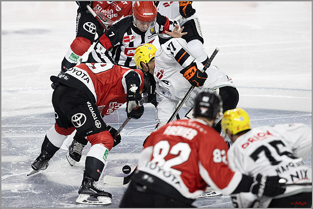 PENNY DEL 1; Kölner Haie - Löwen Frankfurt; Köln, 16.02.2024