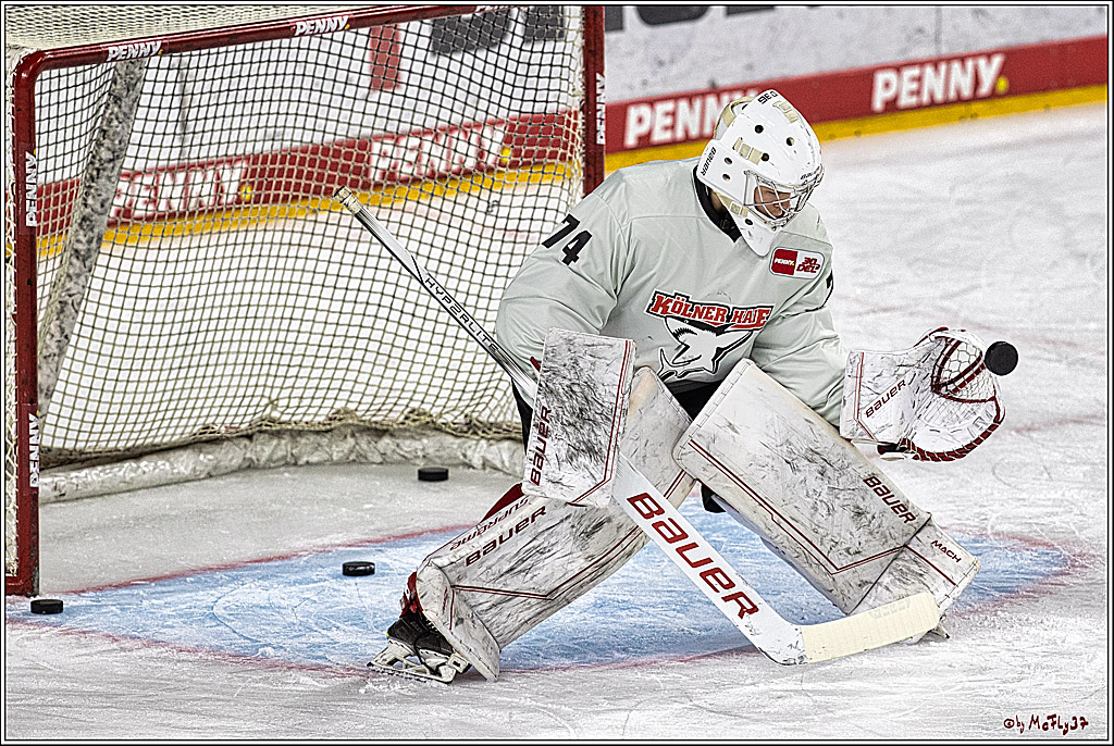 PENNY DEL: Kölner Haie - Eisbären Berlin; Köln, 21.02.2024