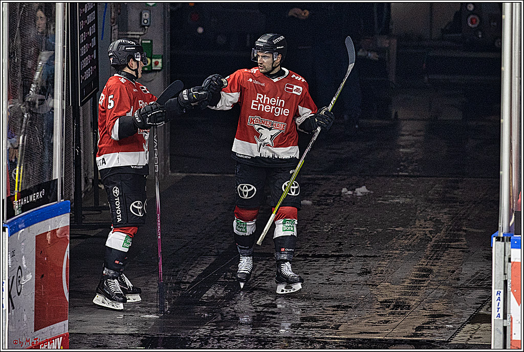 PENNY DEL: Kölner Haie - Adler Mannheim; Köln, 08.03.2024