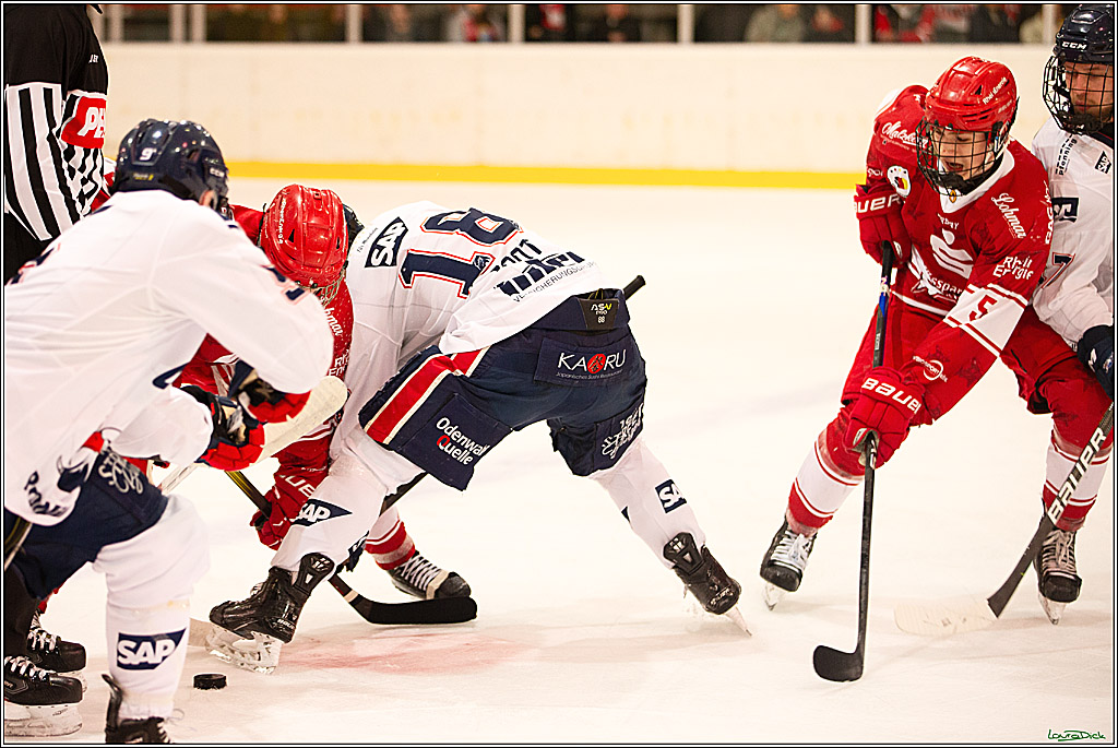 4. Finale Spiel U17 Koelner Junghaie- Jungadler Mannheim; Koeln, 21.04.2024