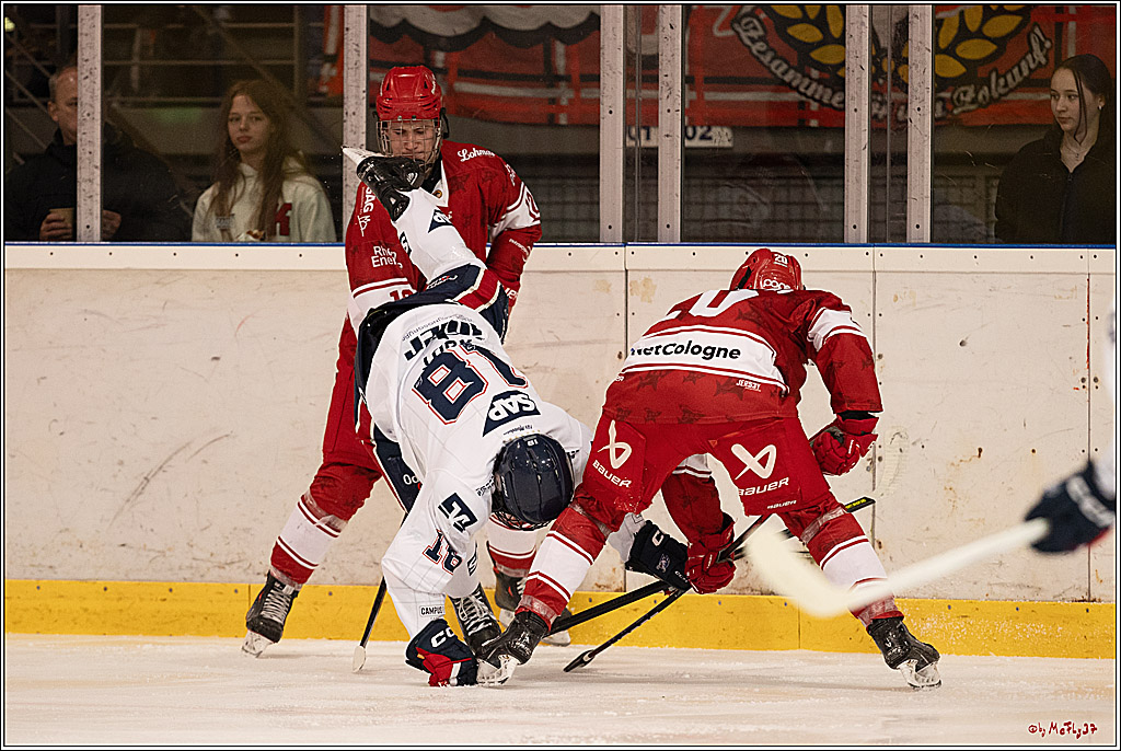 4. Finale Spiel U17 Kölner Junghaie - Jungadler Mannheim 1:5, 21.04.2024