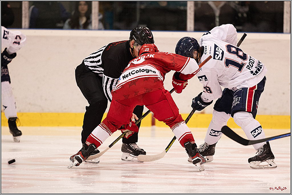 4. Finale Spiel U17 Kölner Junghaie - Jungadler Mannheim 1:5, 21.04.2024