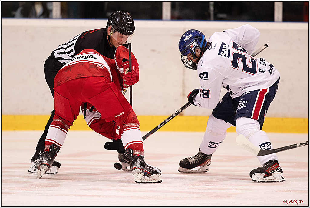 4. Finale Spiel U17 Kölner Junghaie - Jungadler Mannheim 1:5, 21.04.2024