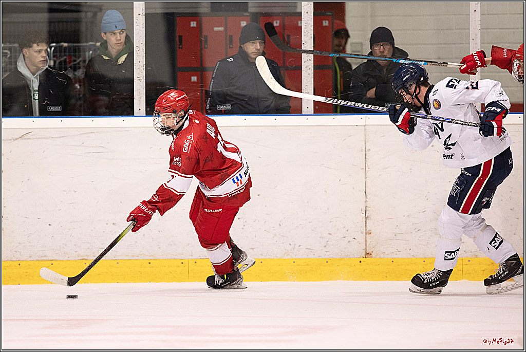 4. Finale Spiel U17 Kölner Junghaie - Jungadler Mannheim 1:5, 21.04.2024