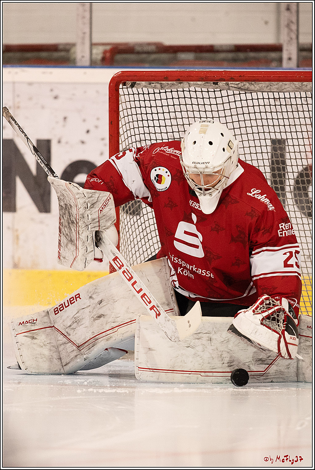 4. Finale Spiel U17 Kölner Junghaie - Jungadler Mannheim 1:5, 21.04.2024