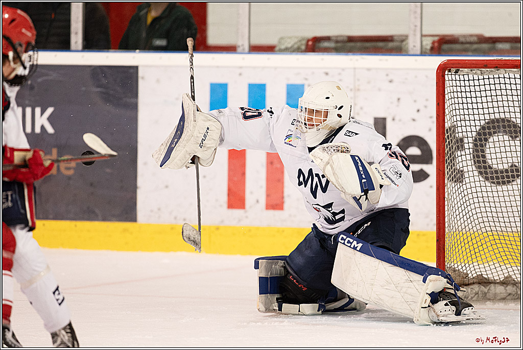 4. Finale Spiel U17 Kölner Junghaie - Jungadler Mannheim 1:5, 21.04.2024
