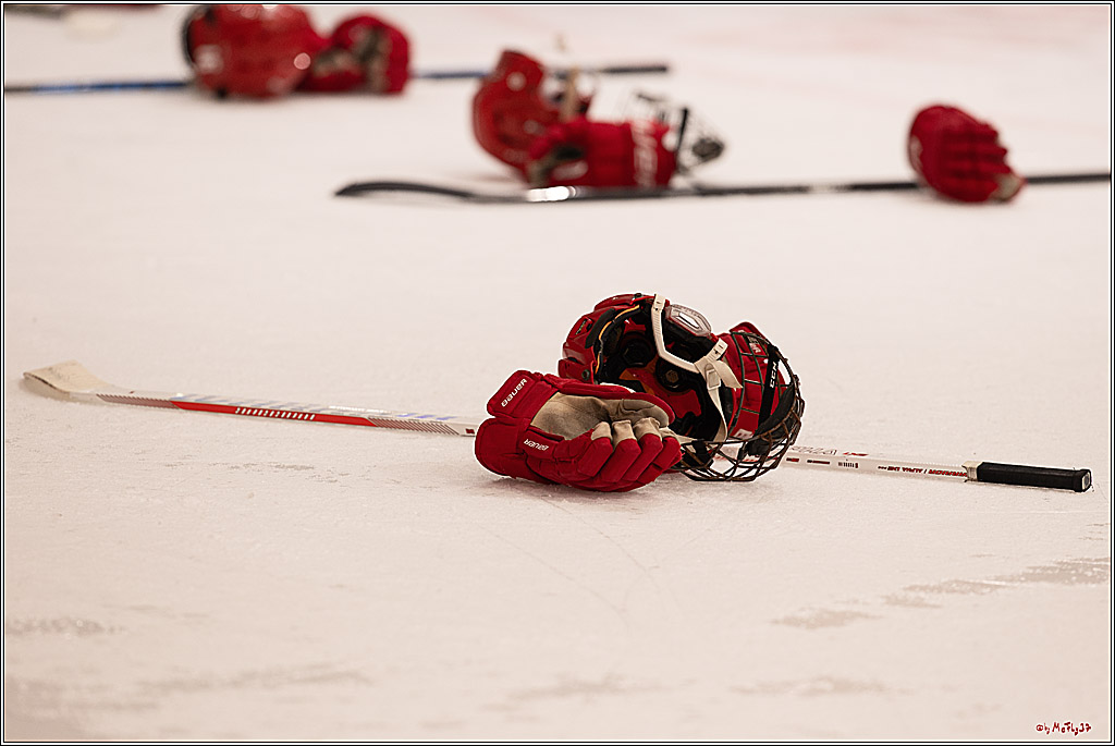 4. Finale Spiel U17 Kölner Junghaie - Jungadler Mannheim 1:5, 21.04.2024