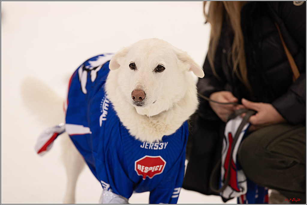 4. Finale Spiel U17 Kölner Junghaie - Jungadler Mannheim 1:5, 21.04.2024