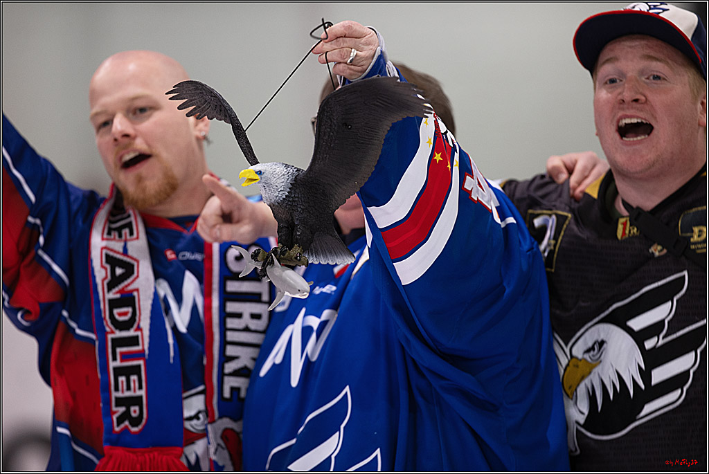 4. Finale Spiel U17 Kölner Junghaie - Jungadler Mannheim 1:5, 21.04.2024