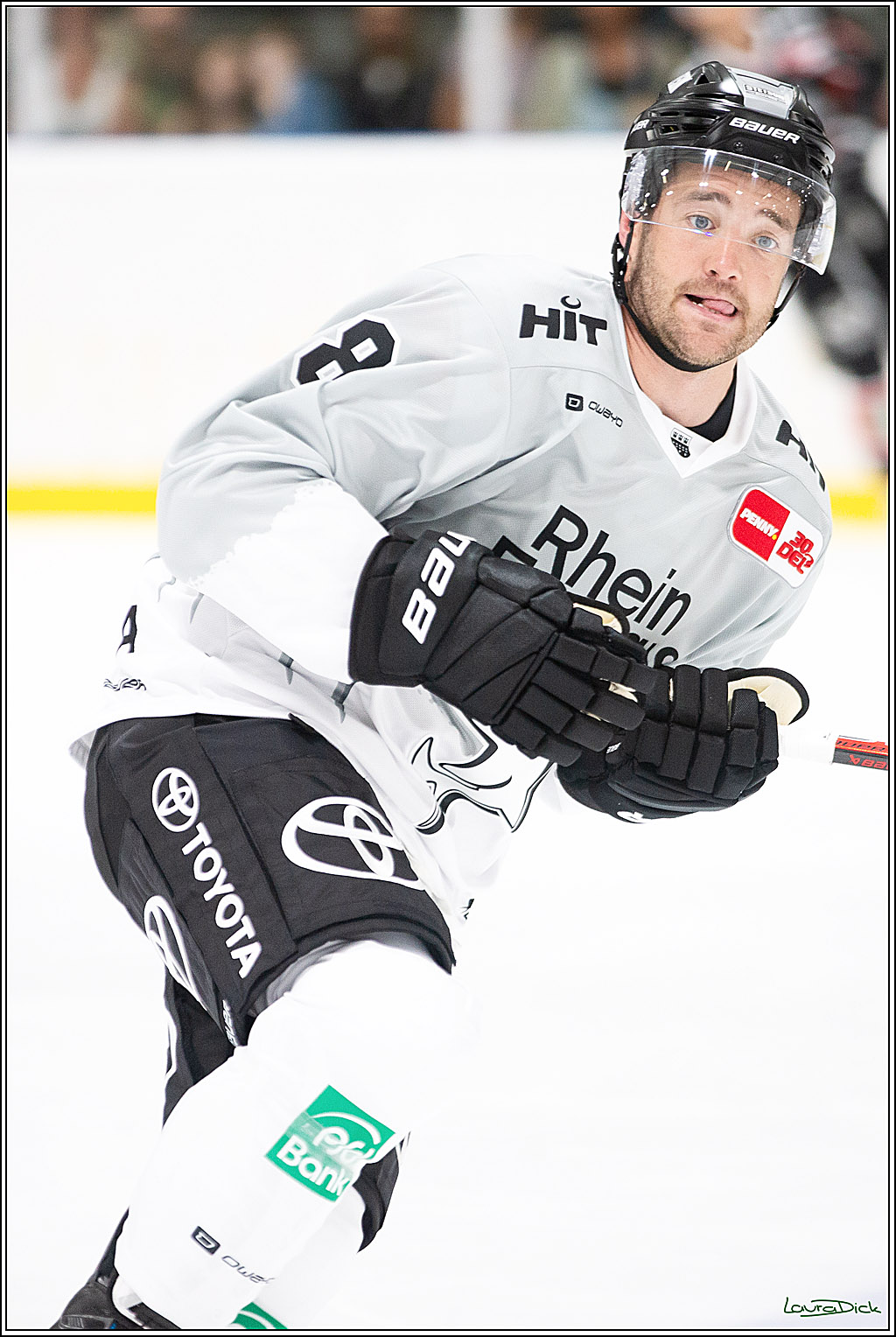 PENNY DEL; Erstes öffentliches Training; Koeln, 11.08.2024