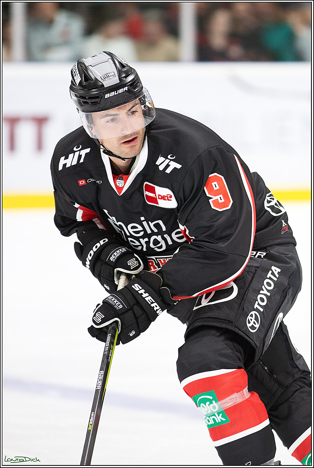 PENNY DEL; Erstes öffentliches Training; Koeln, 11.08.2024