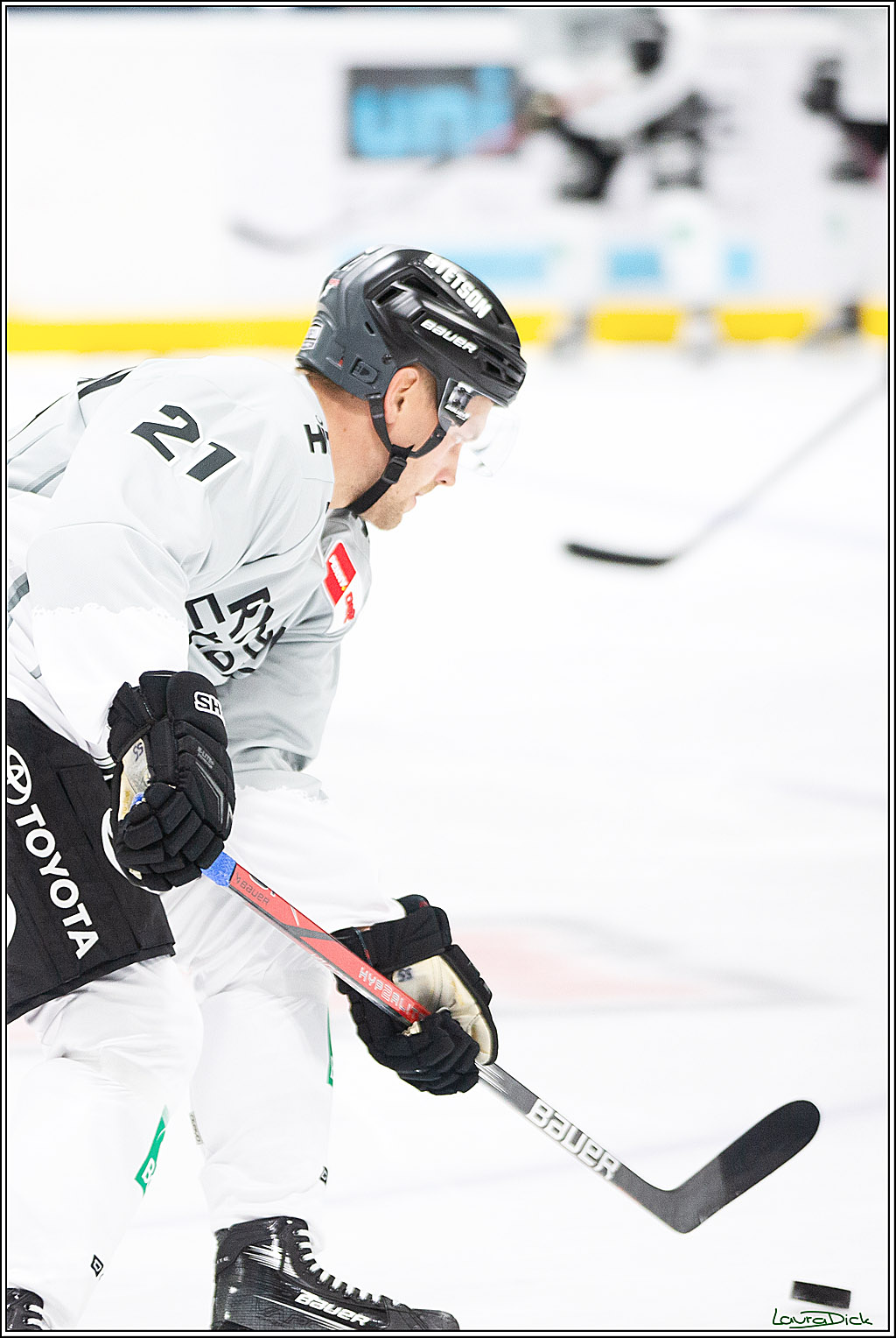 PENNY DEL; Erstes öffentliches Training; Koeln, 11.08.2024