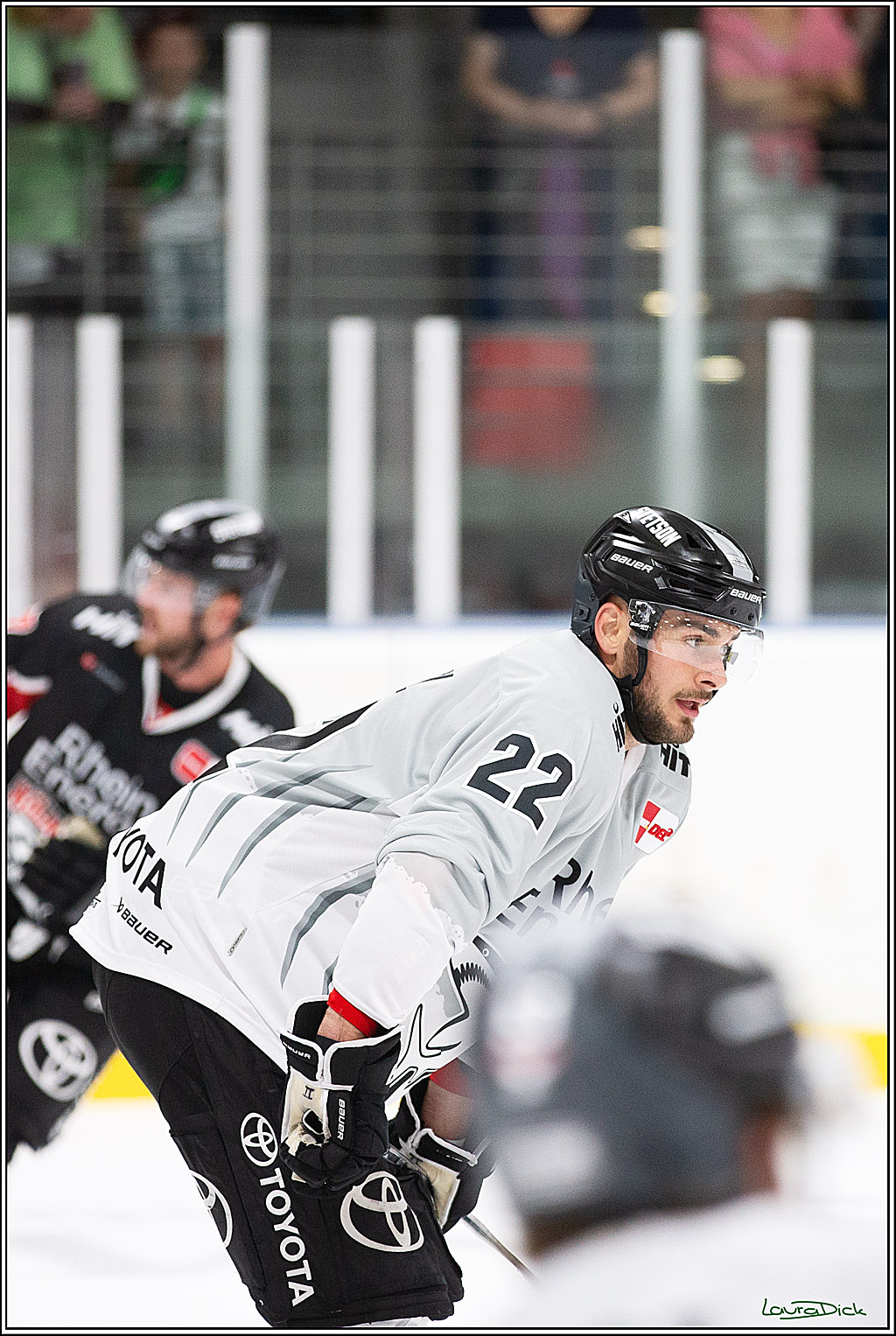 PENNY DEL; Erstes öffentliches Training; Koeln, 11.08.2024