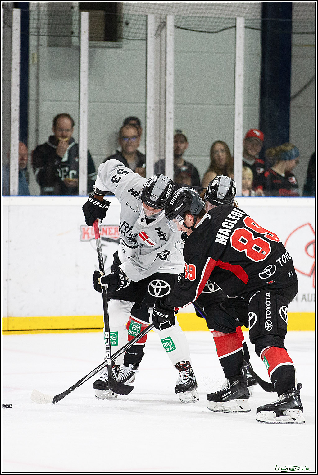 PENNY DEL; Erstes öffentliches Training; Koeln, 11.08.2024