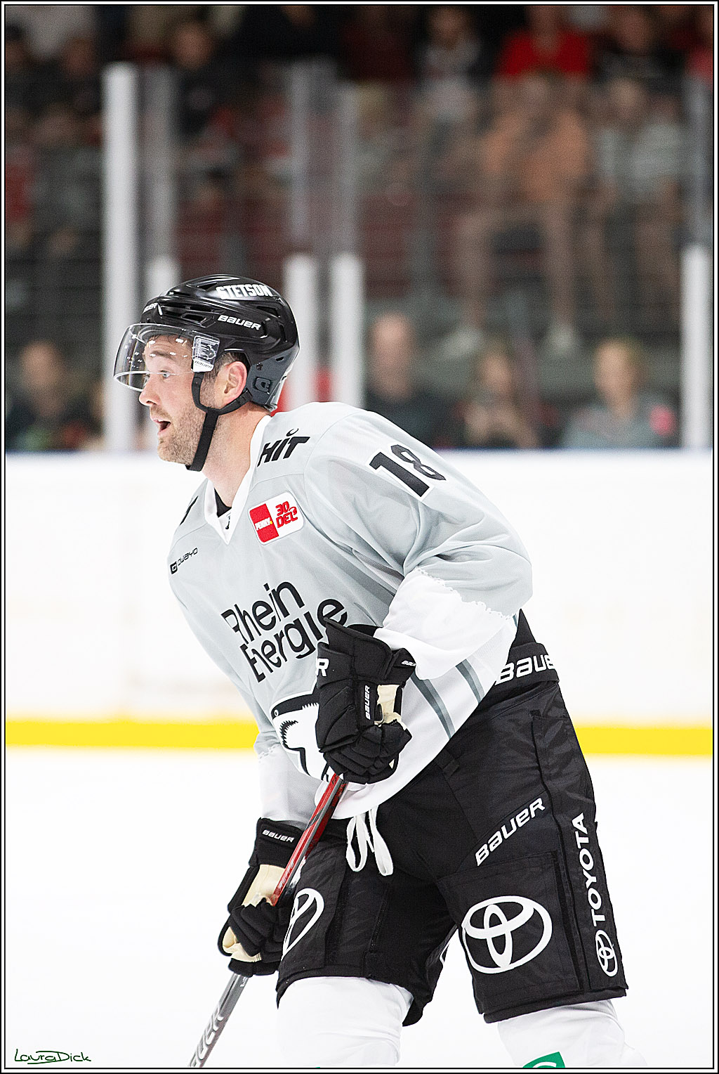 PENNY DEL; Erstes öffentliches Training; Koeln, 11.08.2024