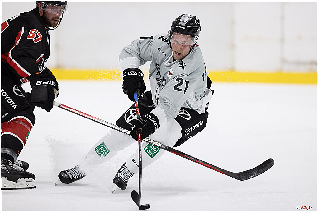 PENNY DEL 1 1. öffentliches Training; Köln, 11.08.2024