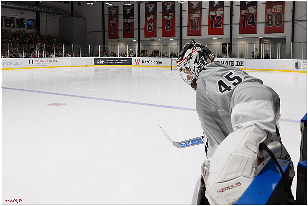 PENNY DEL 1 1. öffentliches Training; Köln, 11.08.2024