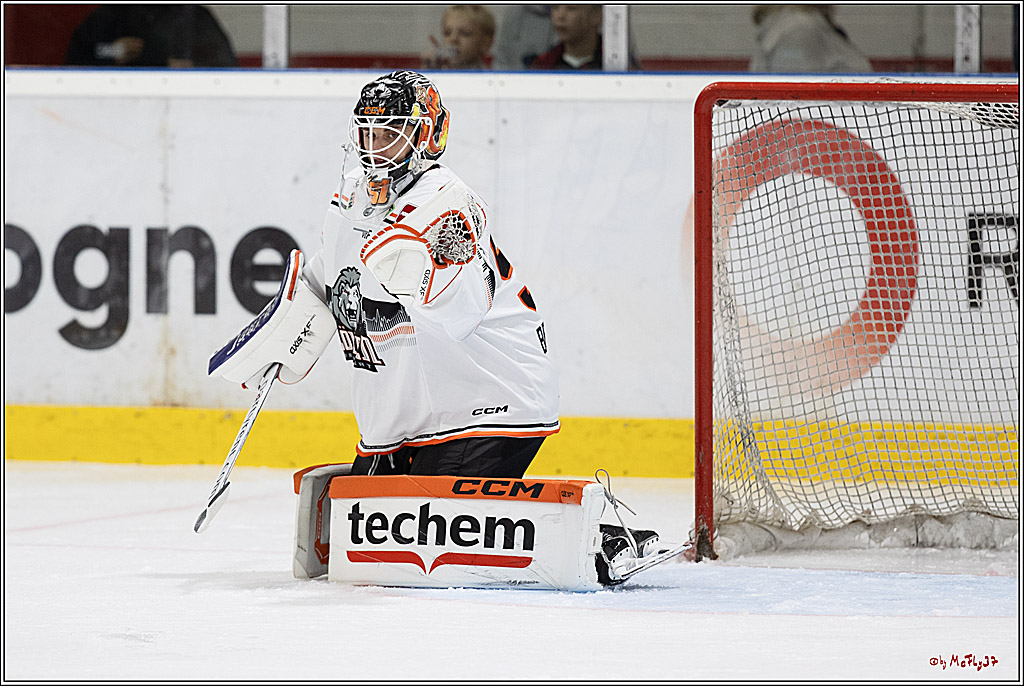 PENNY DEL, Testspiel Kölner Haie - Löwen Frankfurt 2-1; Köln, 25.08.2024