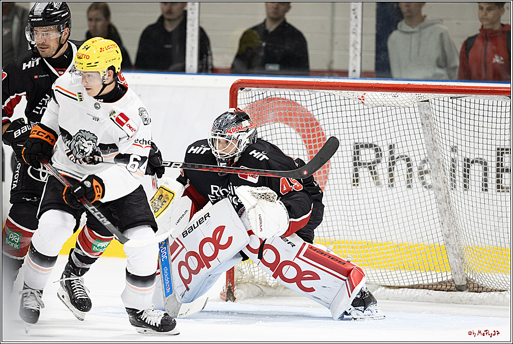 PENNY DEL, Testspiel Kölner Haie - Löwen Frankfurt 2-1; Köln, 25.08.2024