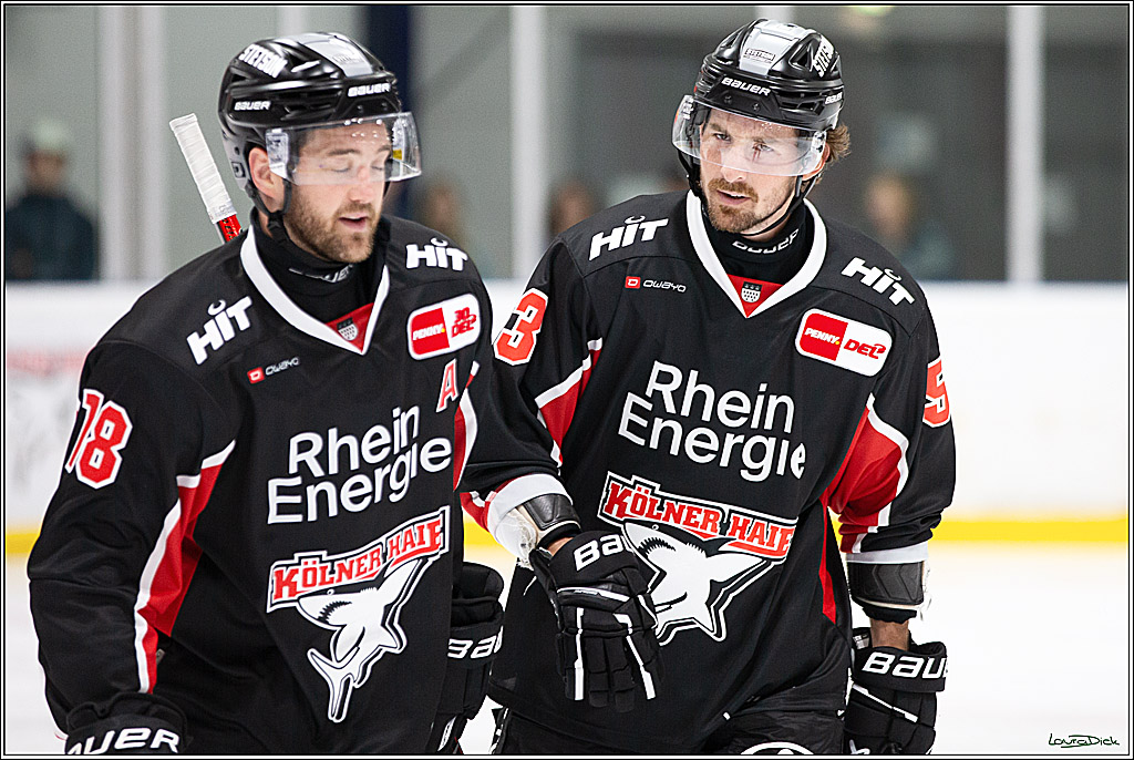 PENNY DEL;Testspiel Koelner Haie- Loewen Frankfurt; Koeln, 25.08.2024