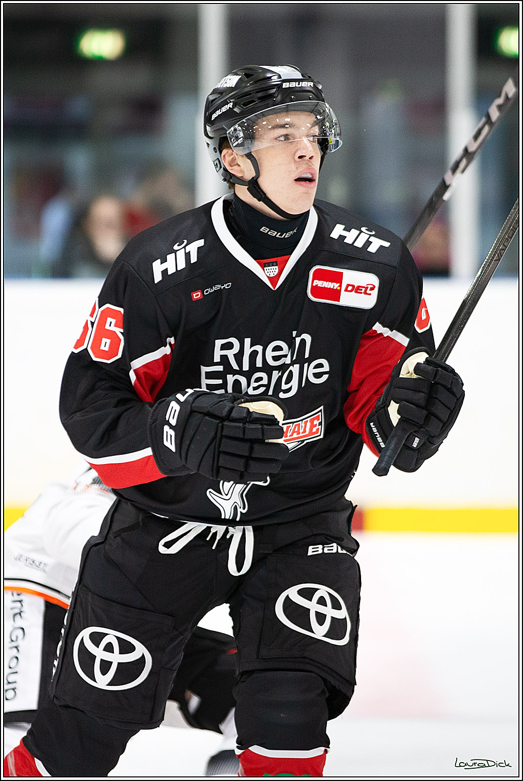 PENNY DEL;Testspiel Koelner Haie- Loewen Frankfurt; Koeln, 25.08.2024