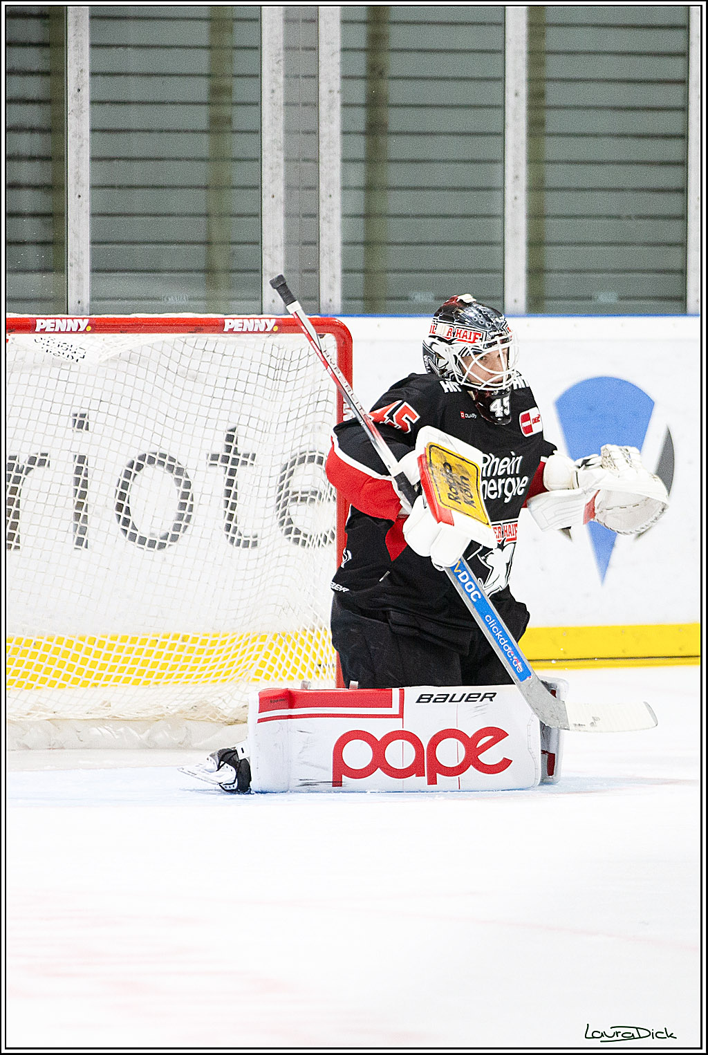 PENNY DEL;Testspiel Koelner Haie- Loewen Frankfurt; Koeln, 25.08.2024