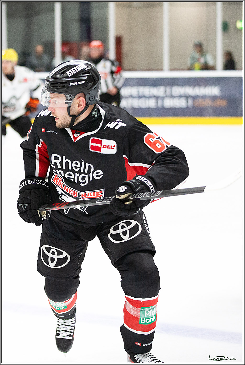 PENNY DEL;Testspiel Koelner Haie- Loewen Frankfurt; Koeln, 25.08.2024