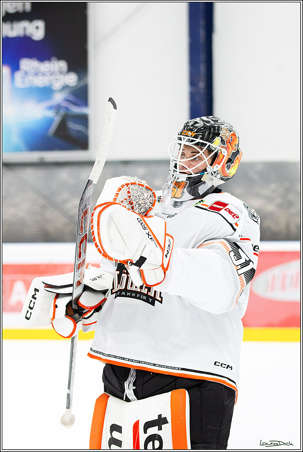 PENNY DEL;Testspiel Koelner Haie- Loewen Frankfurt; Koeln, 25.08.2024