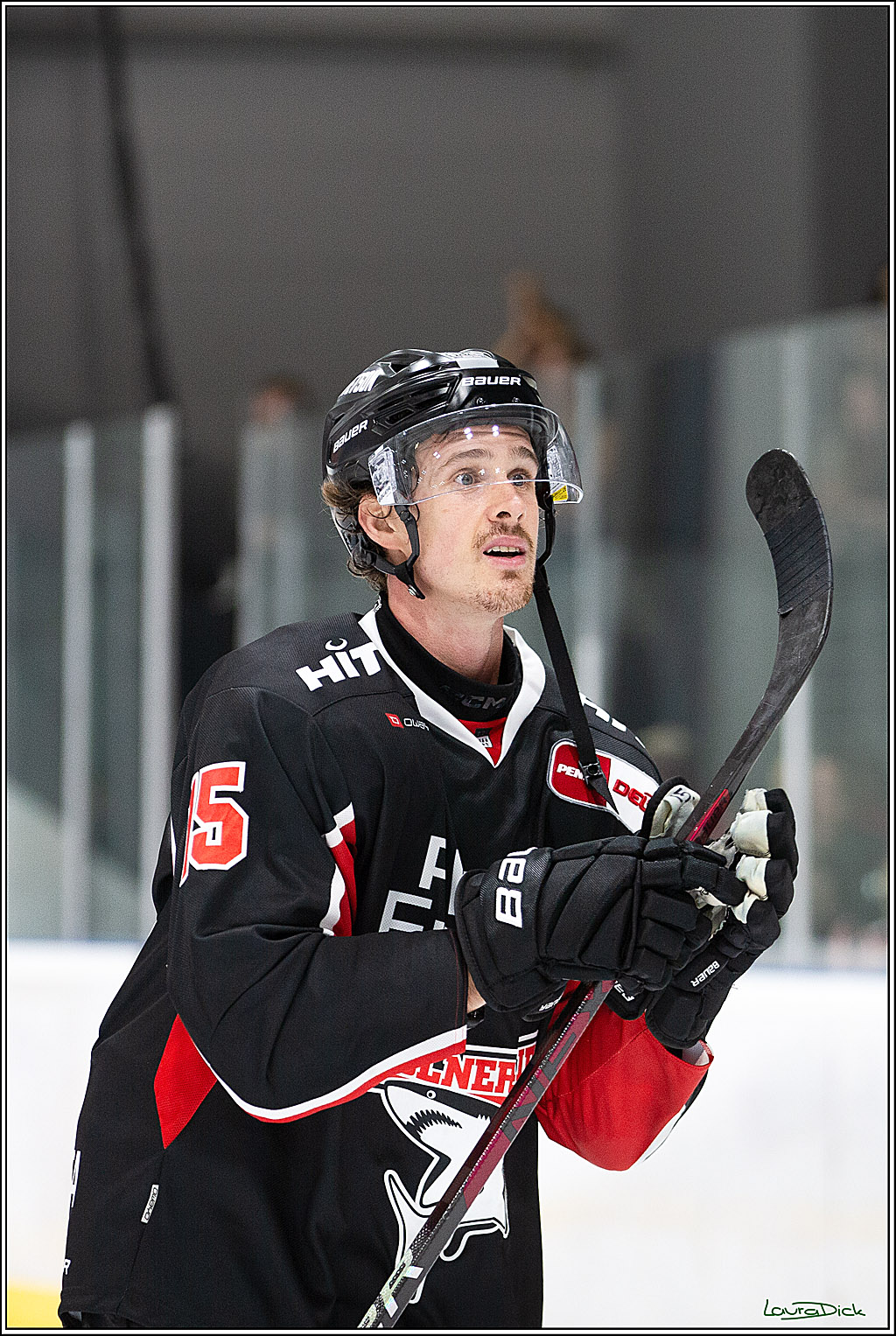 PENNY DEL;Testspiel Koelner Haie- Loewen Frankfurt; Koeln, 25.08.2024