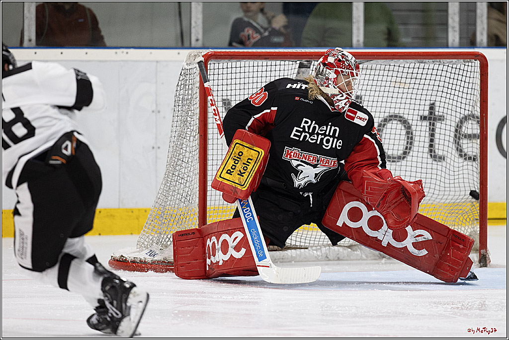 Testspiel Kölner Haie - Pioneers Vorarlberg 4-2; Köln, 08.09.2024