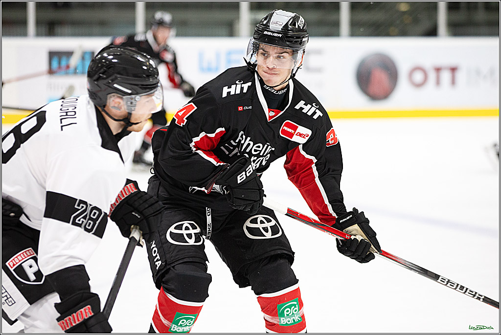 PENNY DEL;Testspiel Koelner Haie- Pioneers Vorarlberg; Koeln, 08.09.2024