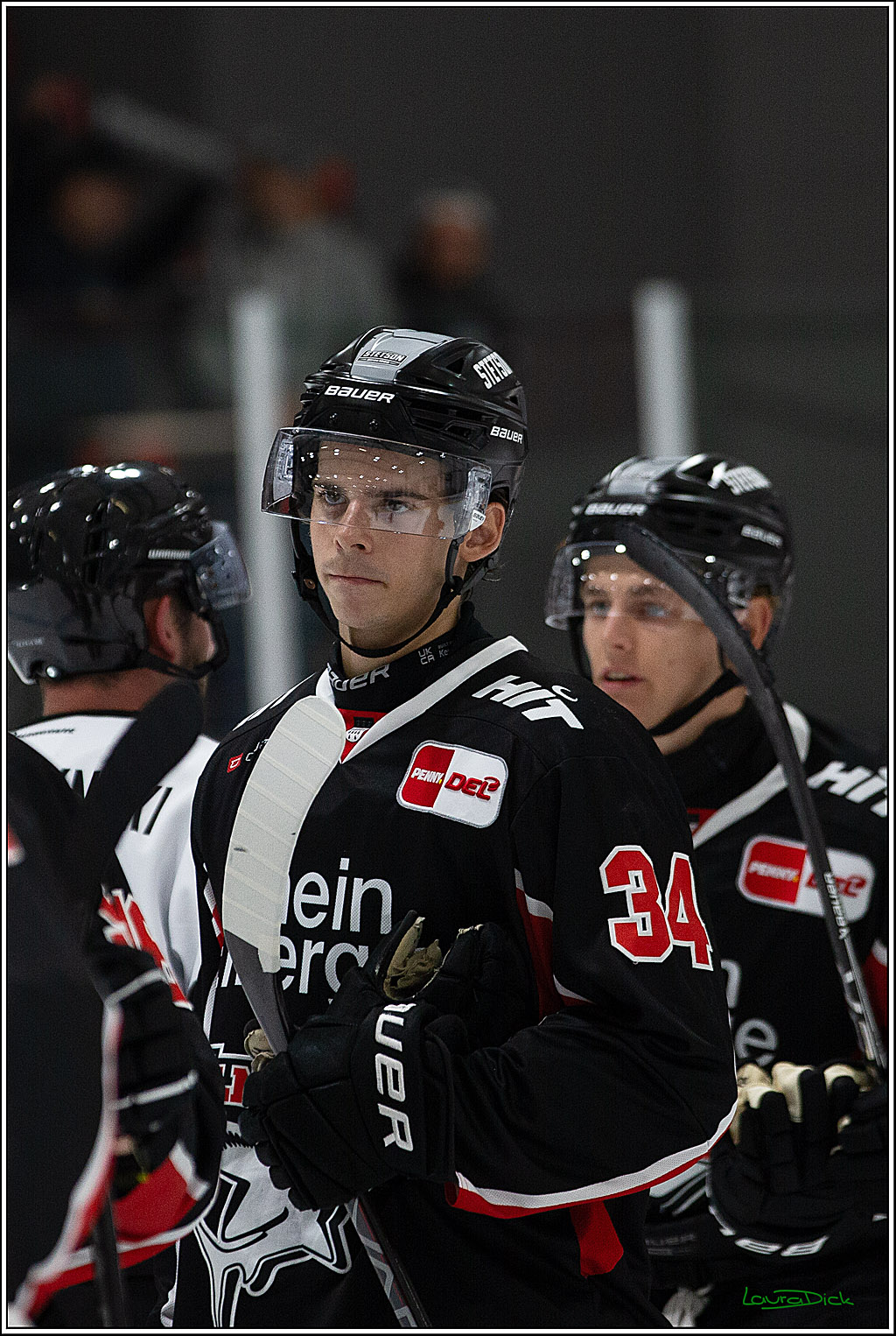 PENNY DEL;Testspiel Koelner Haie- Pioneers Vorarlberg; Koeln, 08.09.2024