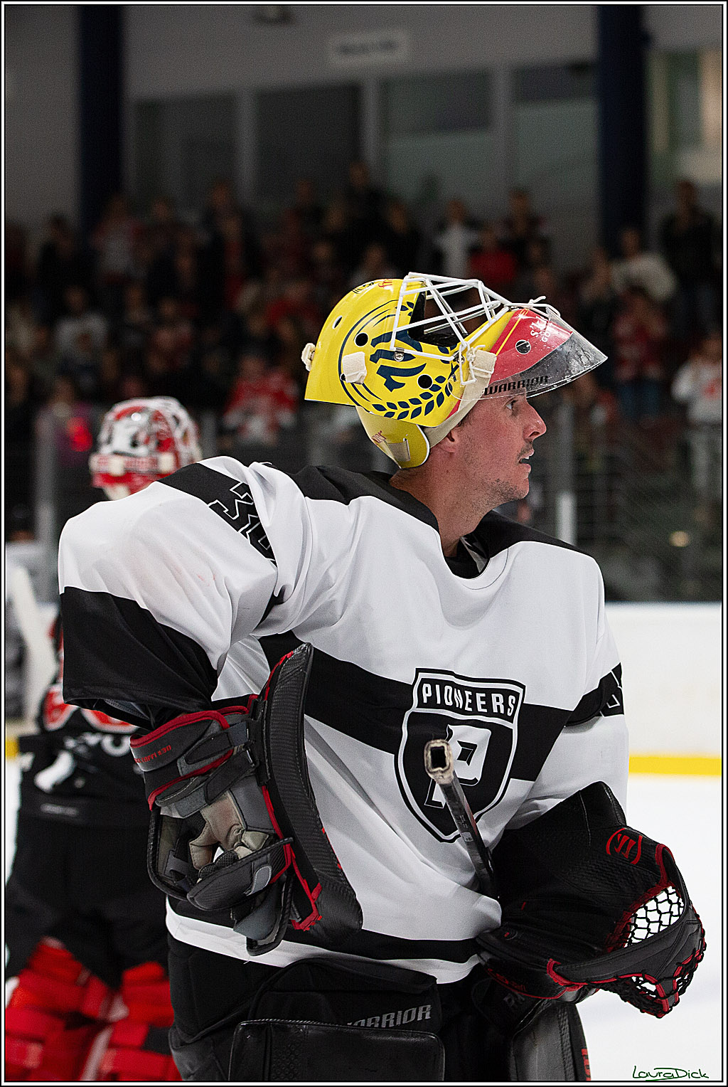 PENNY DEL;Testspiel Koelner Haie- Pioneers Vorarlberg; Koeln, 08.09.2024