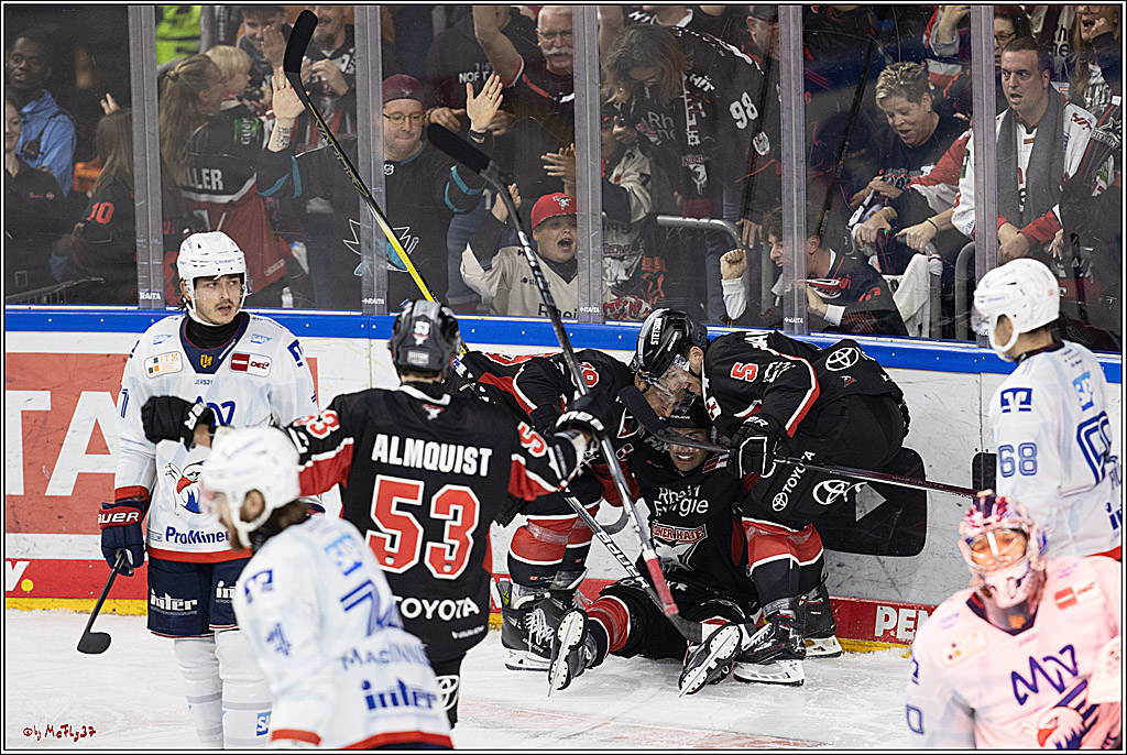 PENNY DEL 1; Kölner Haie - Adler Mannheim; Köln, 22.09.2024