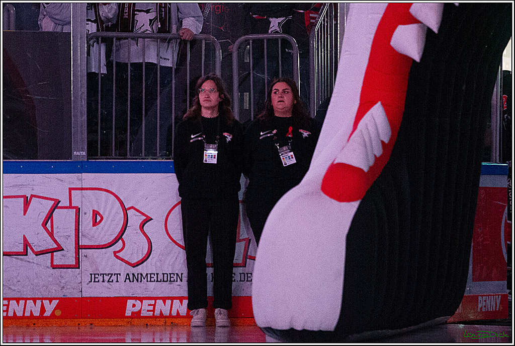 PENNY DEL; Koelner Haie- Nuernberger Ice Tigers; Koeln, 27.09.2024